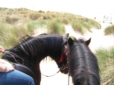 Beach ride