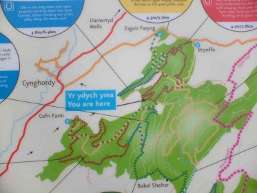 Crychan Forest map.